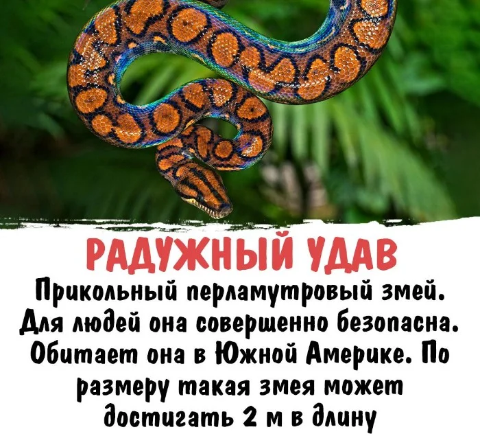 Интересная биология #101