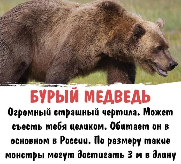 Интересная биология #101