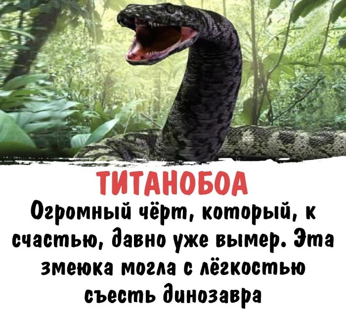 Интересная биология #102