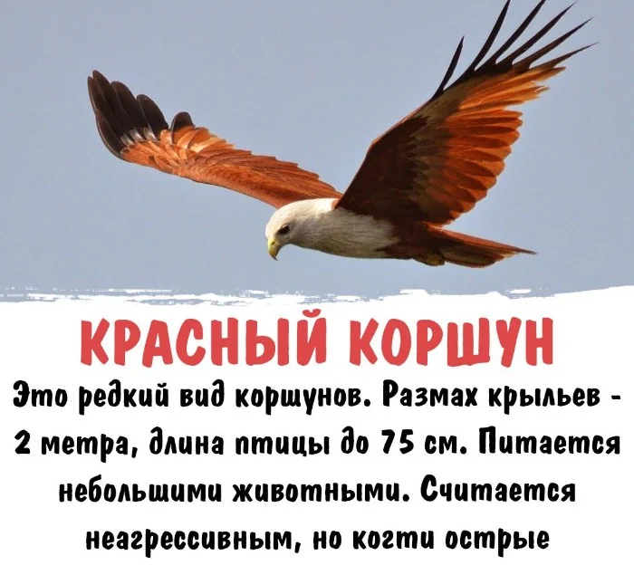 Интересная биология #103