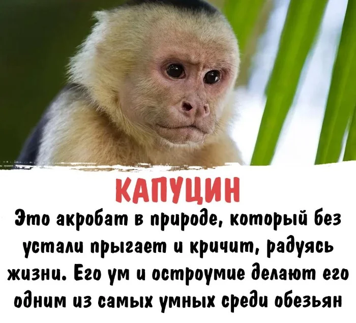 Интересная биология #104