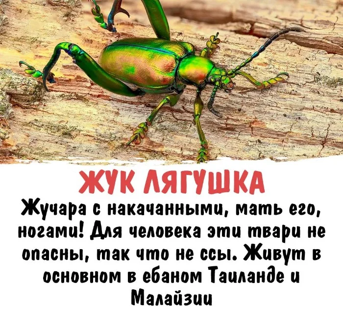 Интересная биология #105