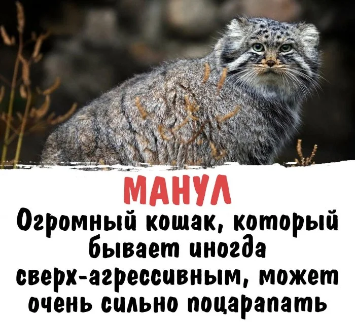 Интересная биология #105