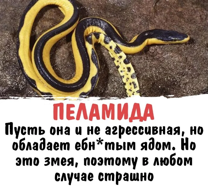 Интересная биология #82