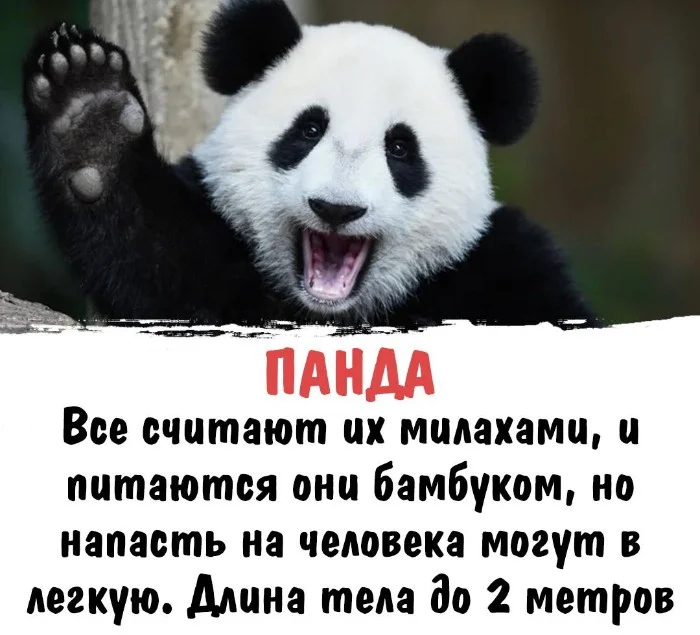 Интересная биология #82