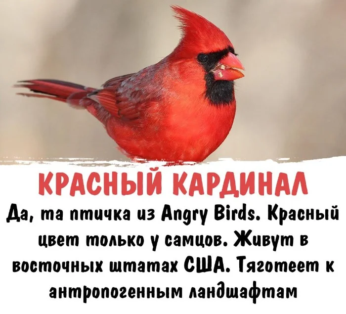 Интересная биология #85