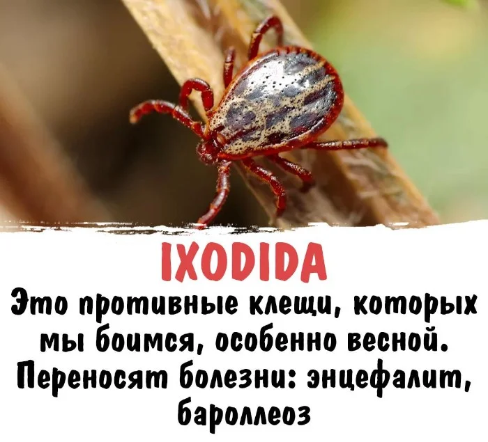 Интересная биология #88