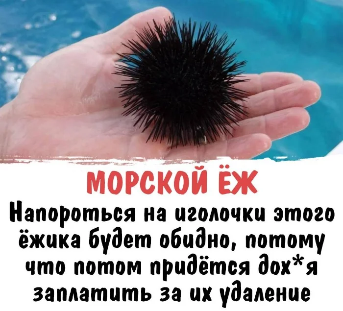 Интересная биология #89