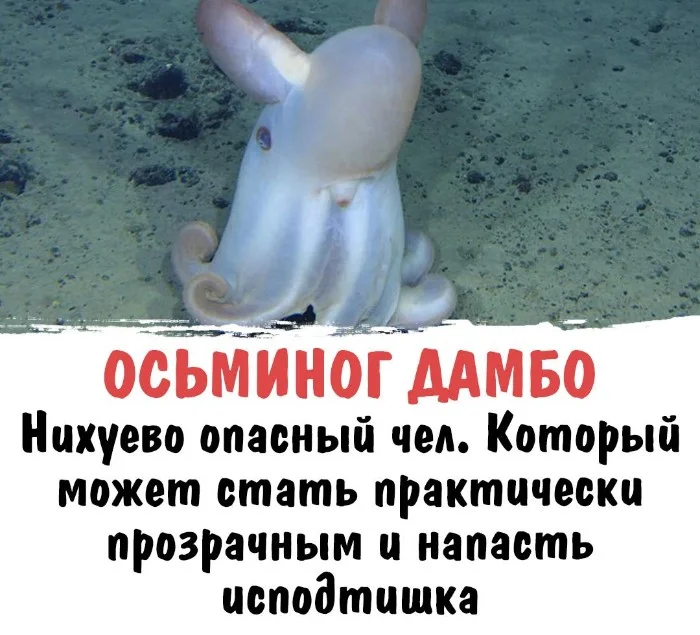 Интересная биология #89