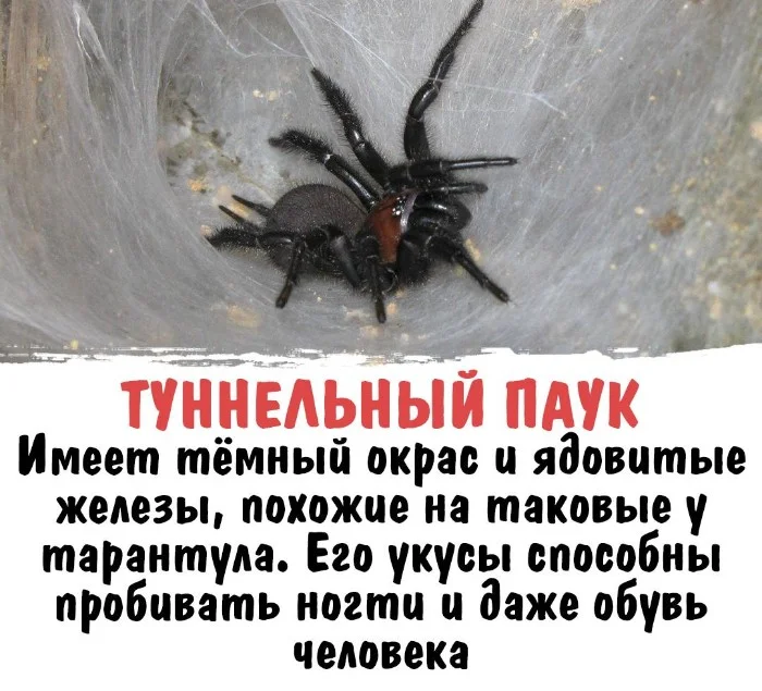 Интересная биология #91