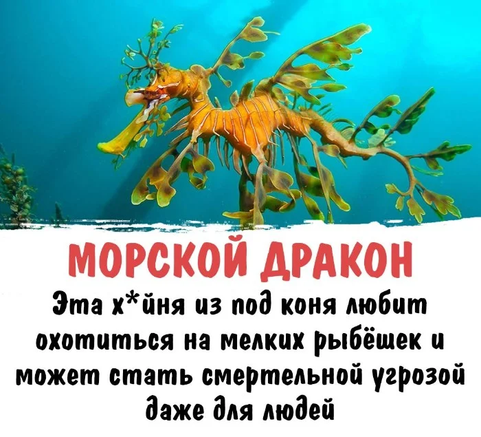 Интересная биология #91