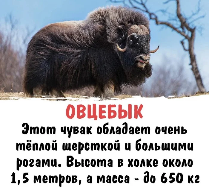 Интересная биология #95