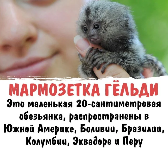 Интересная биология #96