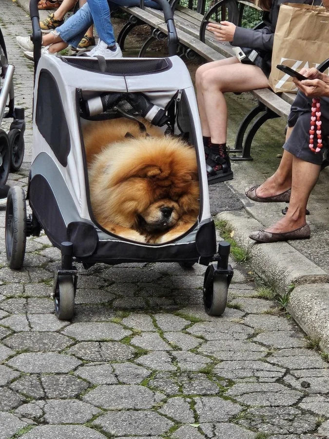 Подборка картинок на общую тему