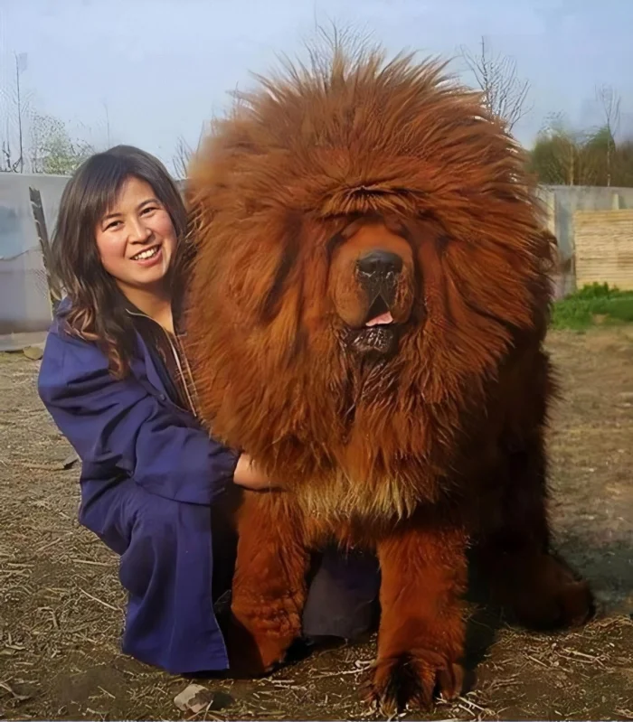 Свежее на общую тему