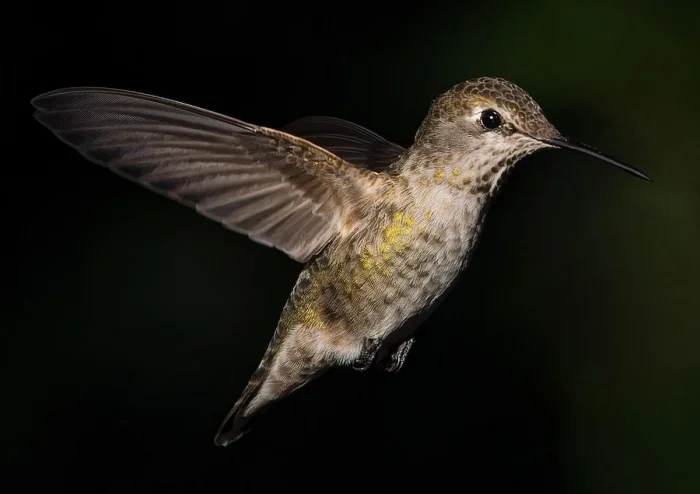 Подборка картинок на общую тему