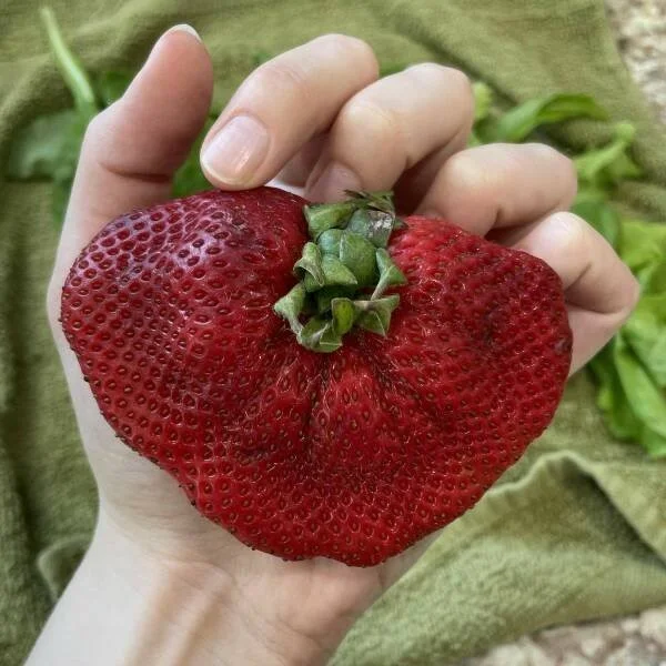 Взбалталось и намешалось