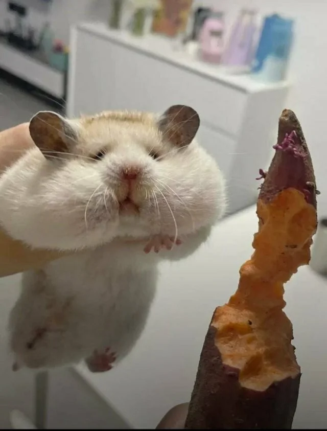 Снова намешалось