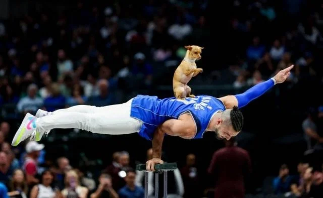 Намешалось