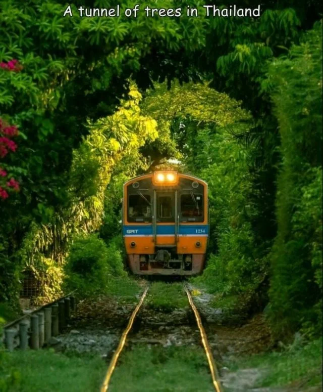 Взбалталось и намешалось