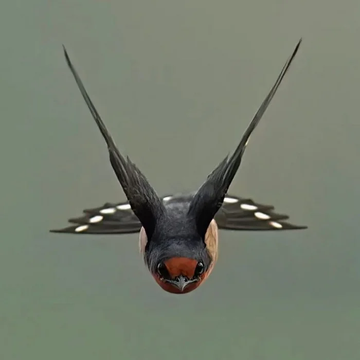 Снова намешалось