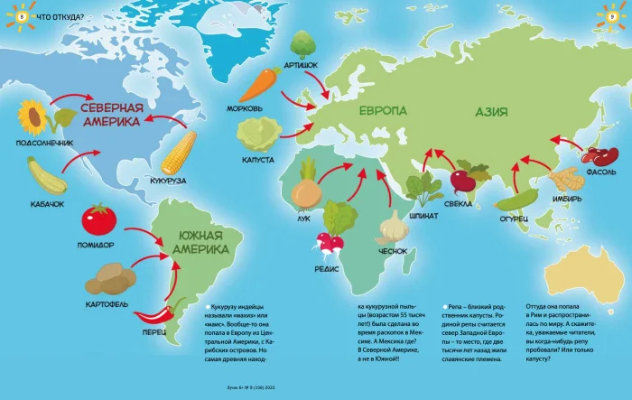 Почему у огурца такое разное имя в русском и английском?
