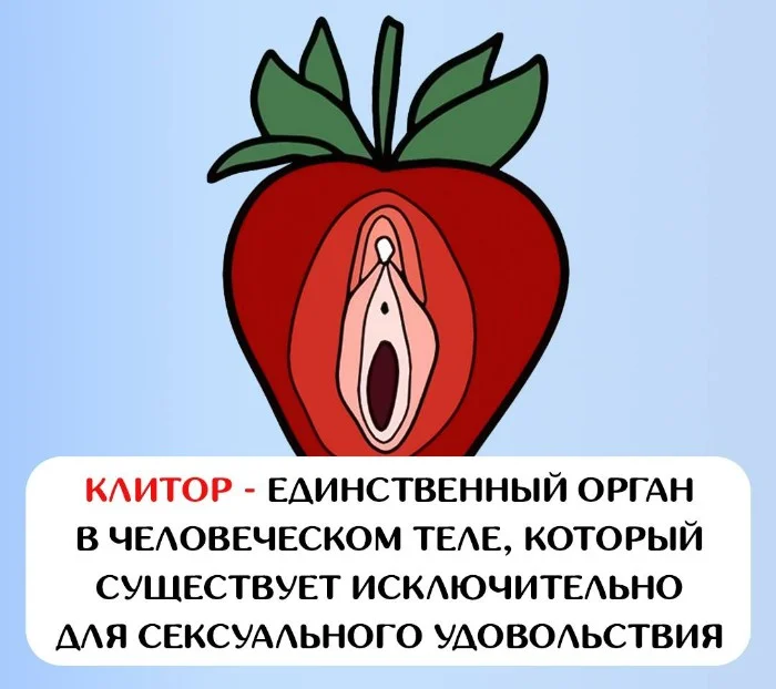 Сексуальная правда: 15 фактов, которым не научат в школе #104