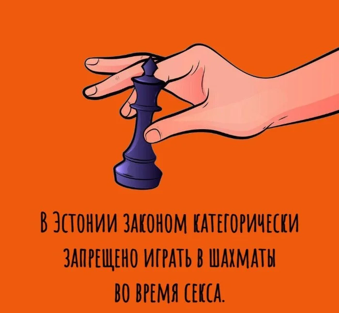 Сексуальная правда: 15 фактов, которым не научат в школе #105