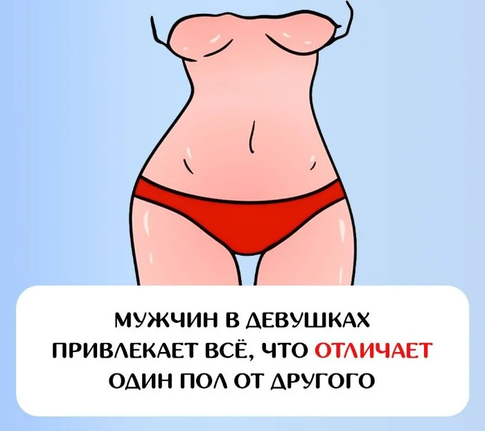 Сексуальная правда: 15 фактов, которым не научат в школе #114