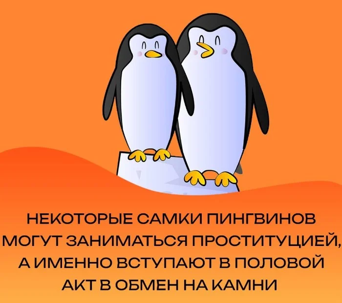 Сексуальная правда: 15 фактов, которым не научат в школе #119