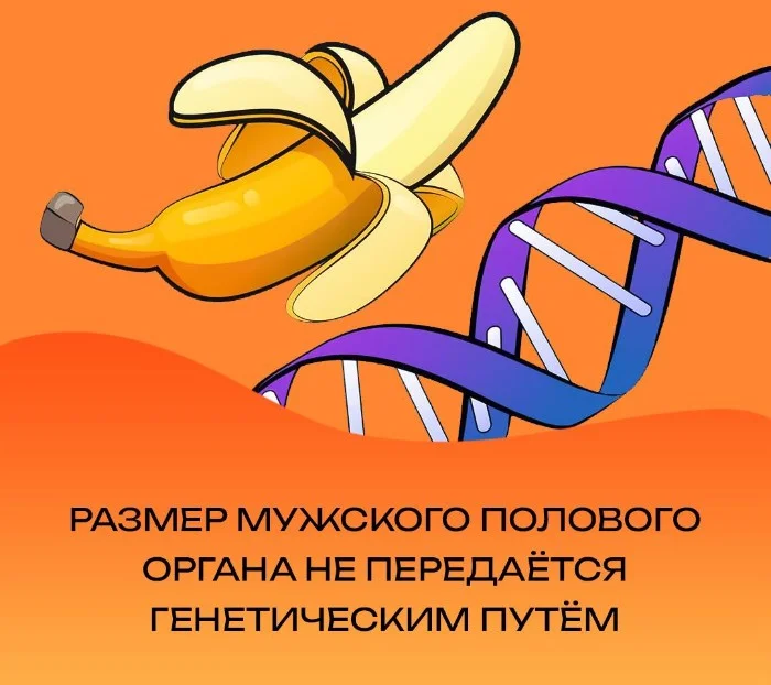 Сексуальная правда: 15 фактов, которым не научат в школе #130