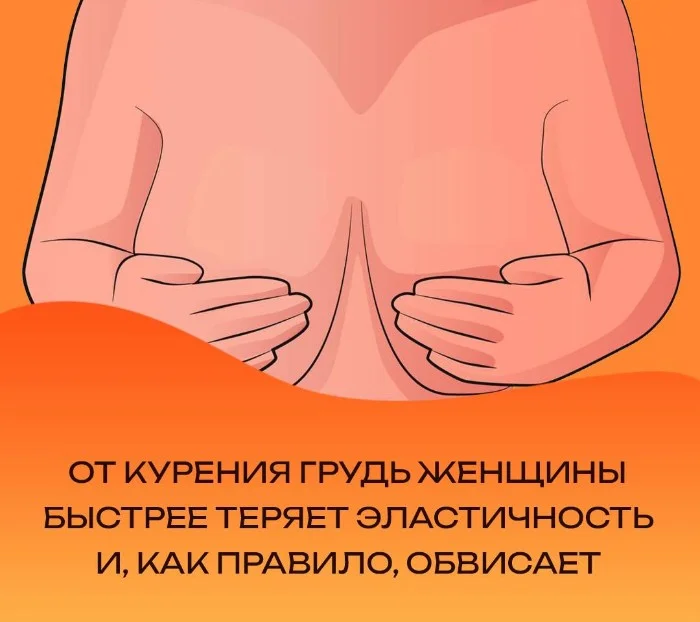 Сексуальная правда: 15 фактов, которым не научат в школе #65