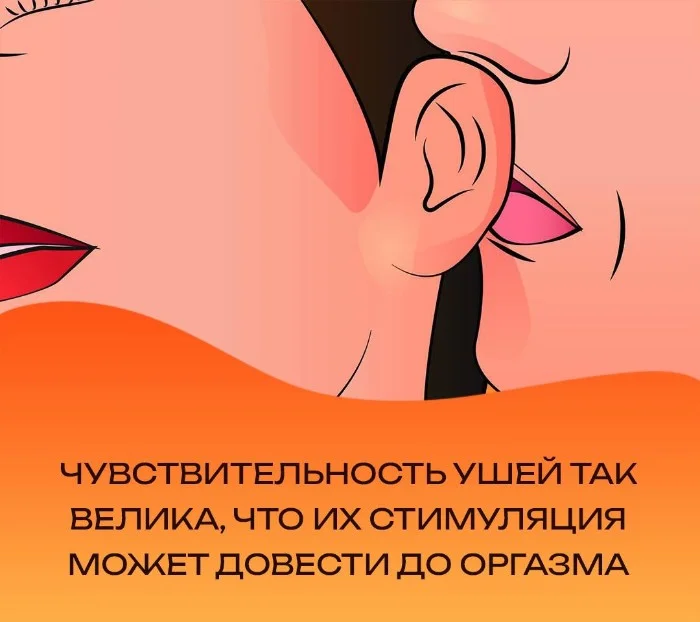 Сексуальная правда: 15 фактов, которым не научат в школе #88