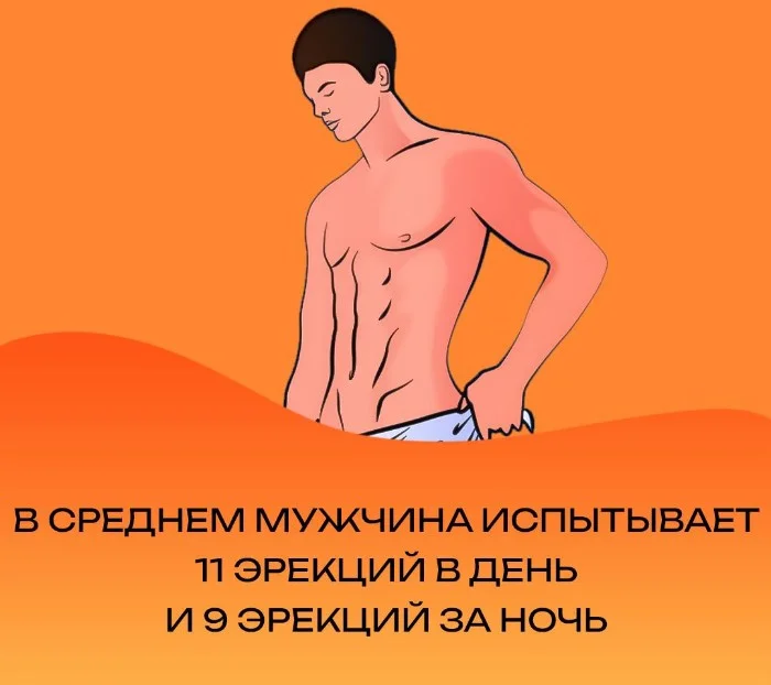 Сексуальная правда: 15 фактов, которым не научат в школе #95