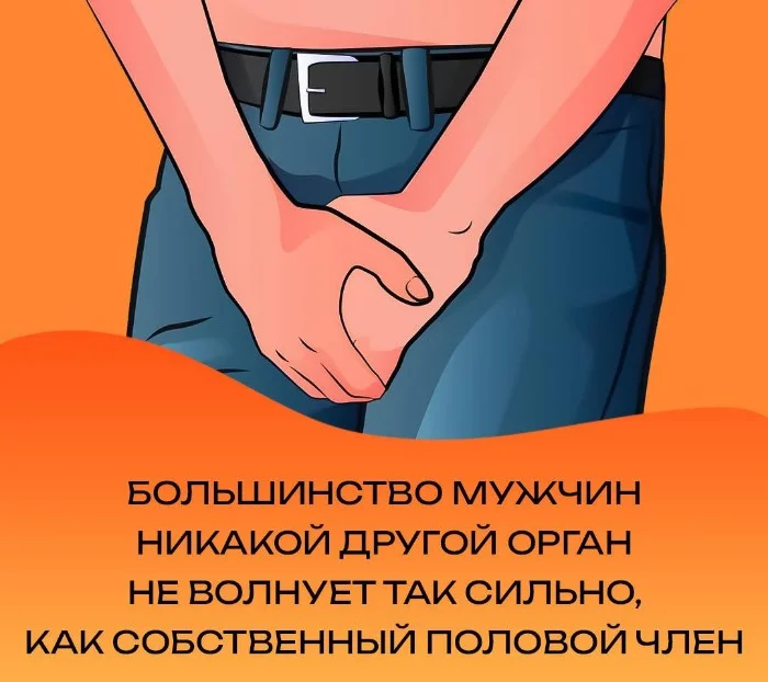 Сексуальная правда: 15 фактов, которым не научат в школе #98