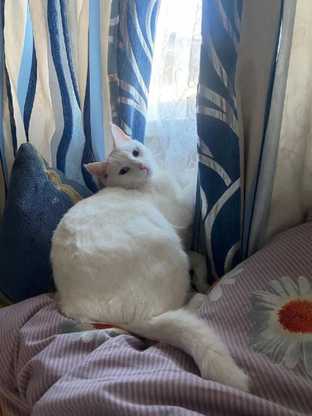 Важное решение: расставаться с ним или нет?