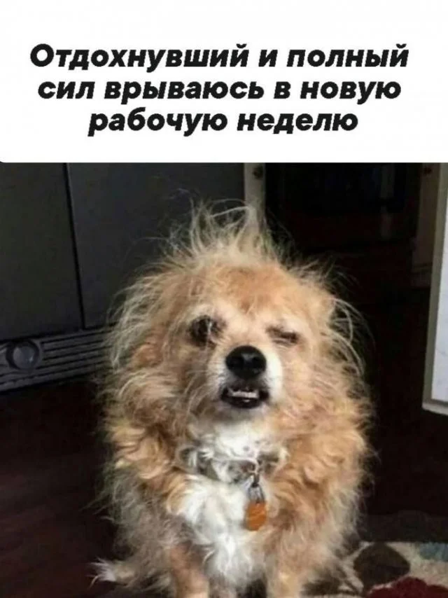 Смешные скрины из соцсетей #54