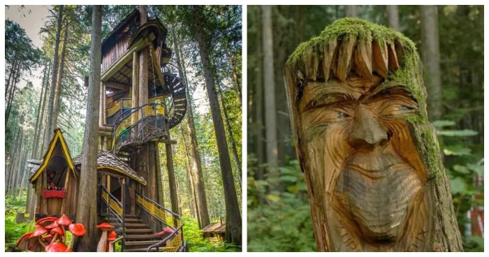 Канадский лес, будто сошедший со страниц сказки