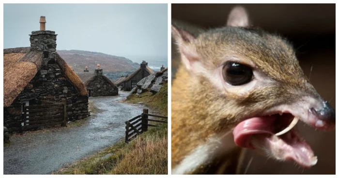 10 невероятных фото, мимо которых невозможно пройти