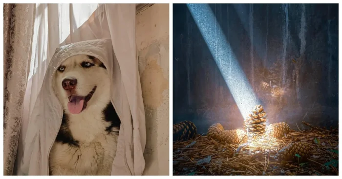 15 современных фото, напоминающих картины эпохи Возрождения