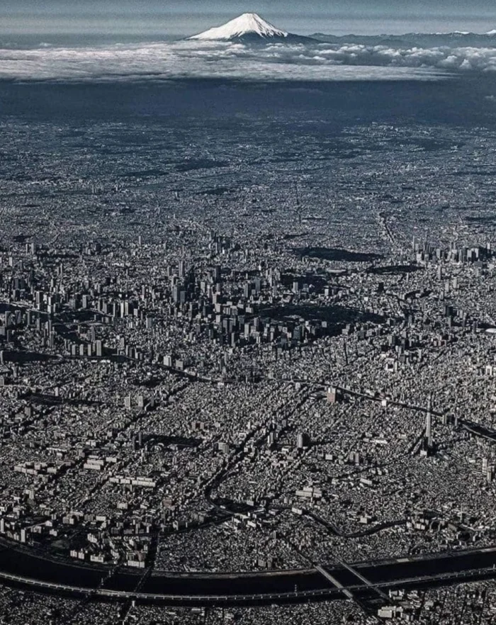 16 реальных фото, доказывающих, что мир полон сюрпризов