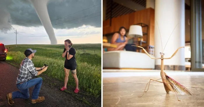 Когда всё совпало: 16 снимков, словно созданных с помощью магии