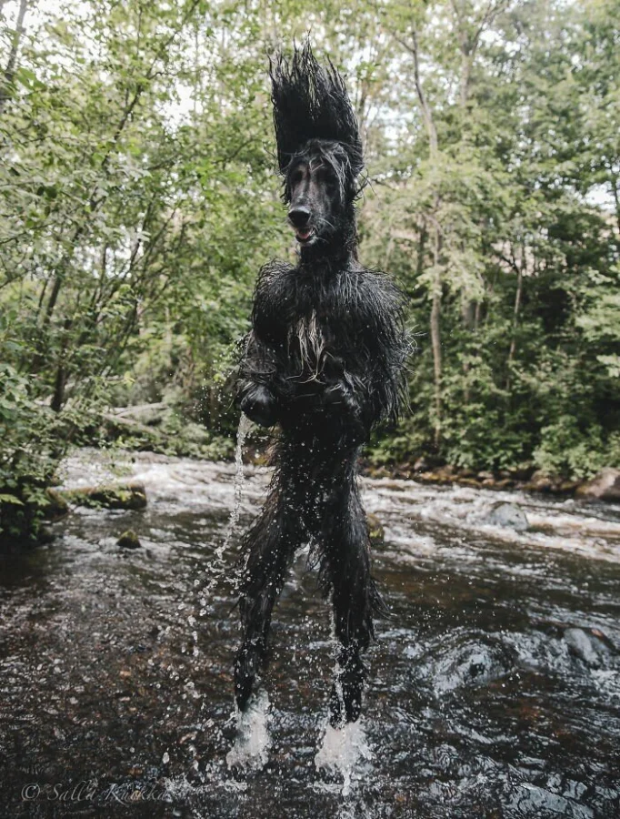 17 тревожных снимков, которые вызывают внутренний дискомфорт