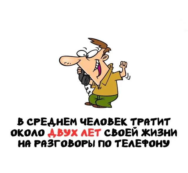 Знания впрок: интересные факты для каждого дня