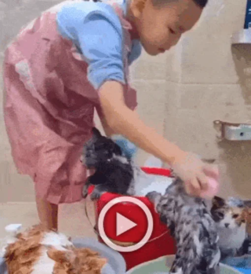 Разнообразные ГИФки #129