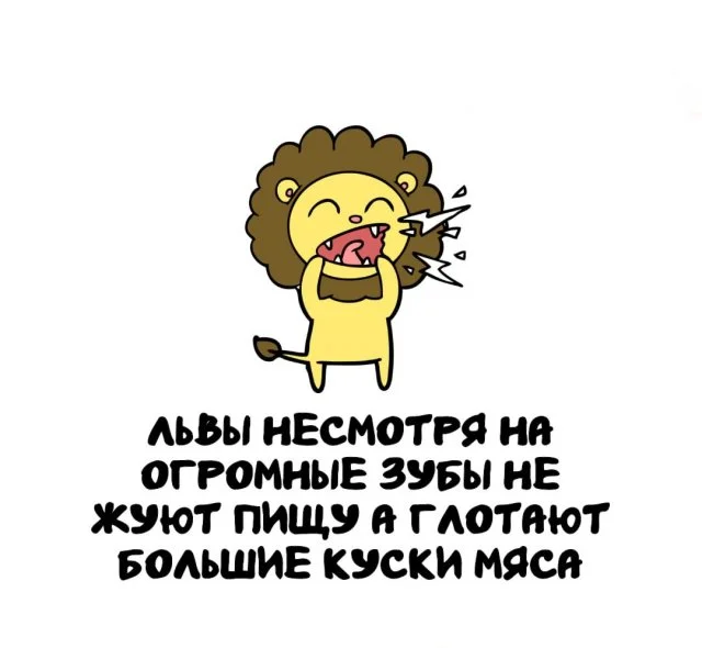 Удивительные знания на каждый день