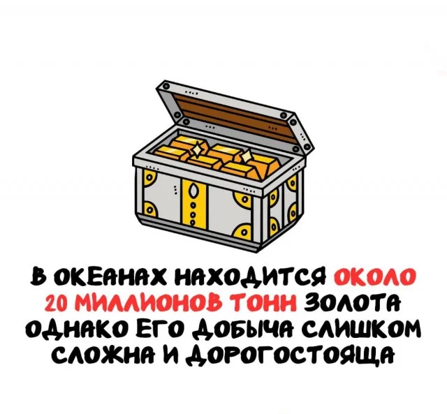 Удивительные знания на каждый день