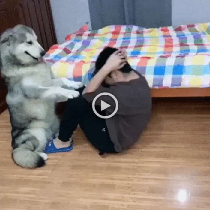 Разнообразные ГИФки #130