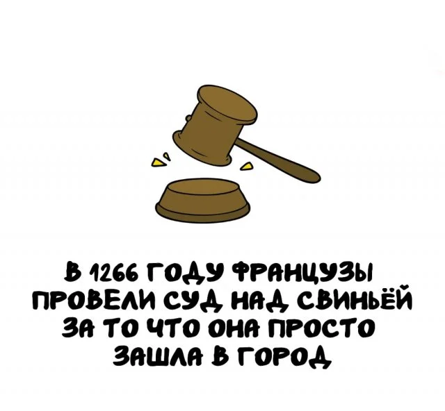 Факты, которые пригодятся в любой беседе