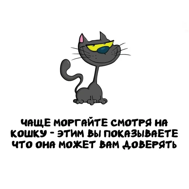 Удивительные знания для любого случая